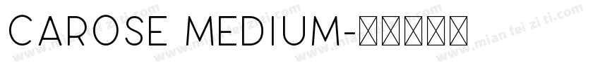 CAROSE Medium字体转换